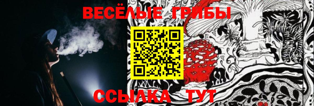 Элиста  Псилоцибиновые грибы Psilocybine cubensis  продажа наркотиков  Галлюциногенные грибы MAGIC MUSHROOMS  Вход с VPN 